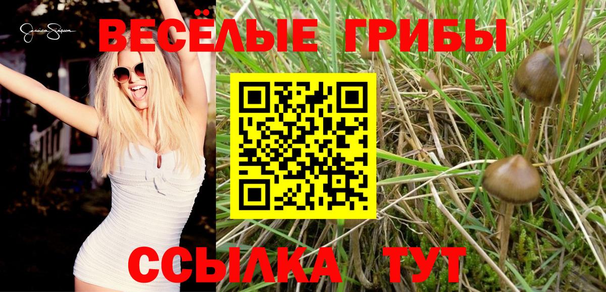 Псилоцибиновые грибы прущие грибы  Псилоцибиновые грибы прущие грибы  Изобильный  Вход с VPN 